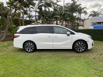 2026 Honda Odyssey Elite