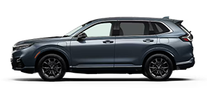 Tony Honda in Waipahu HI