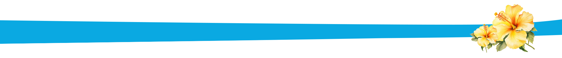 Blue Line with Yellow Flower